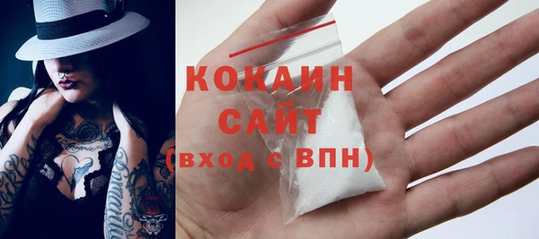 метадон Каменка