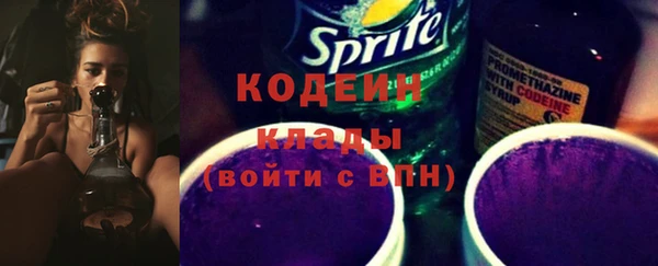 метадон Каменка