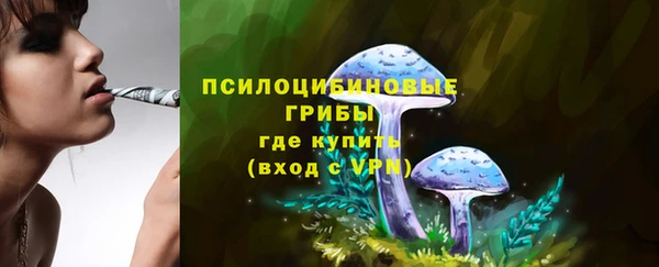 МДПВ Каменск-Шахтинский