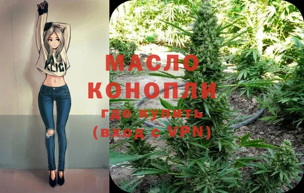 метадон Каменка