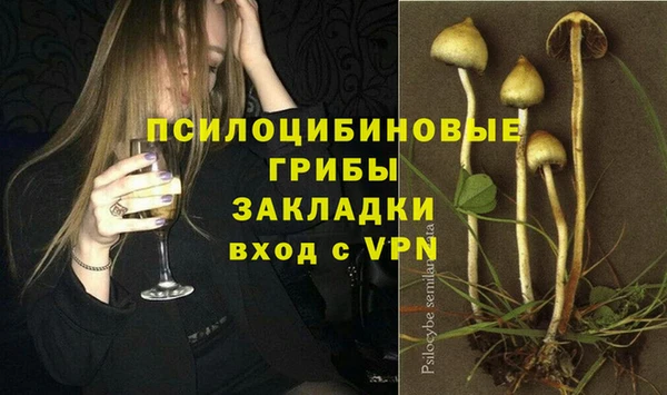 МДПВ Каменск-Шахтинский
