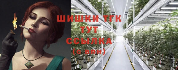 метадон Каменка